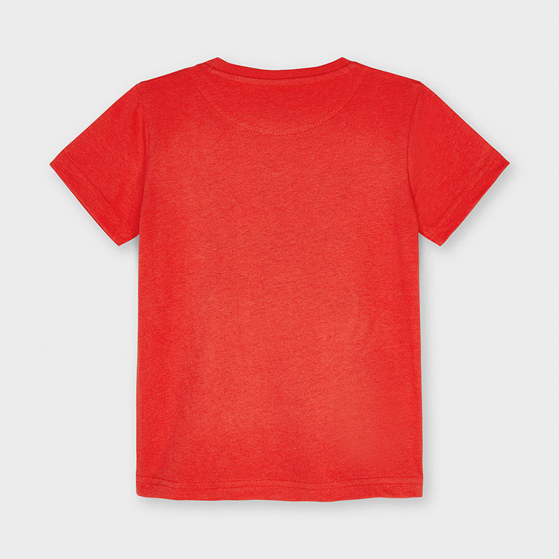 Chlapčenské tričko s krátkym rukávom - ECOFRIENDS appliqué flag